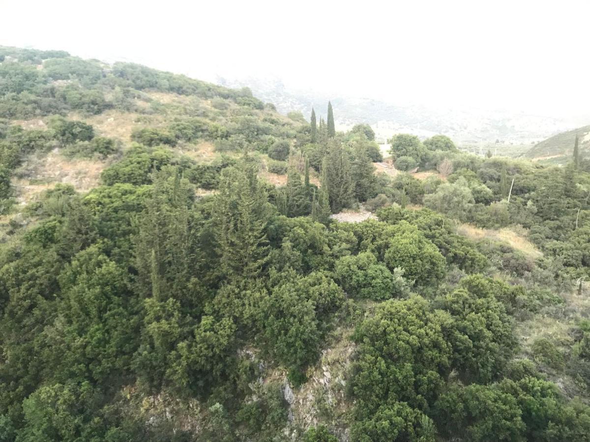 Eleni'S Holiday Rooms Himarë Dış mekan fotoğraf